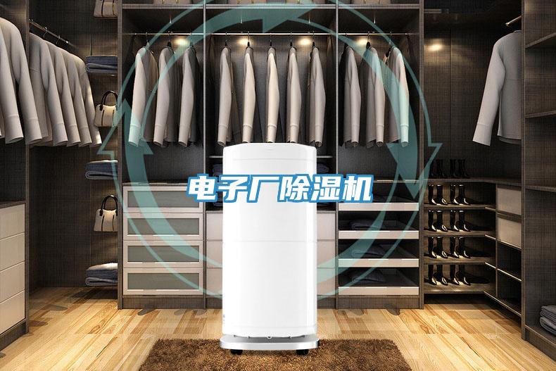 電子廠草莓污视频在线看