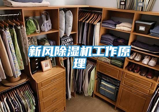 新風草莓污视频在线看工作原理