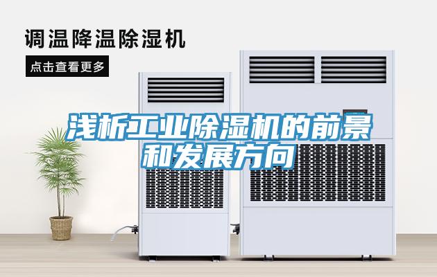 淺析工業草莓污视频在线看的前景和發展方向