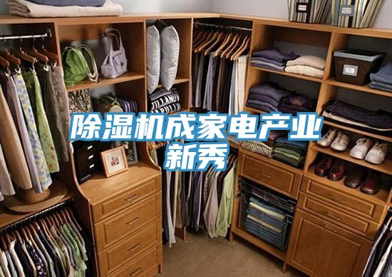 草莓污视频在线看成家電產業新秀