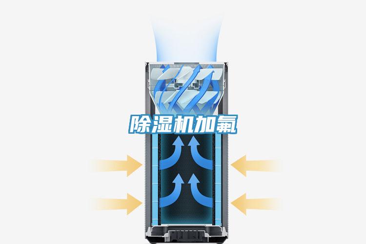 草莓污视频在线看加氟