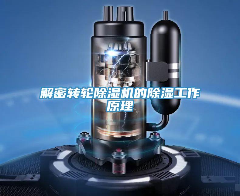 解密轉輪草莓污视频在线看的除濕工作原理