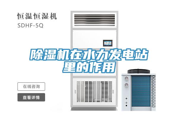 草莓污视频在线看在水力發電站裏的作用