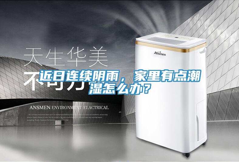 近日連續陰雨，家裏有點潮濕怎麽辦？