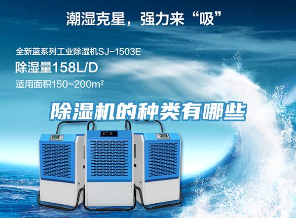 草莓污视频在线看的種類有哪些