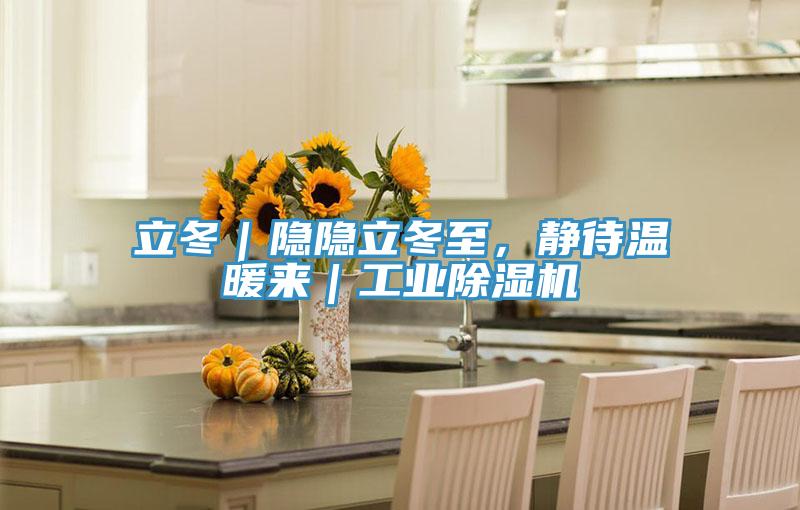 立冬｜隱隱立冬至，靜待溫暖來｜工業草莓污视频在线看