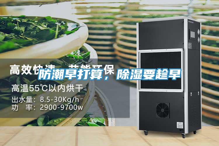 防潮早打算，除濕要趁早