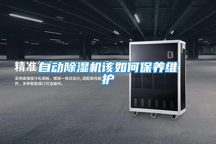 自動草莓污视频在线看該如何保養維護