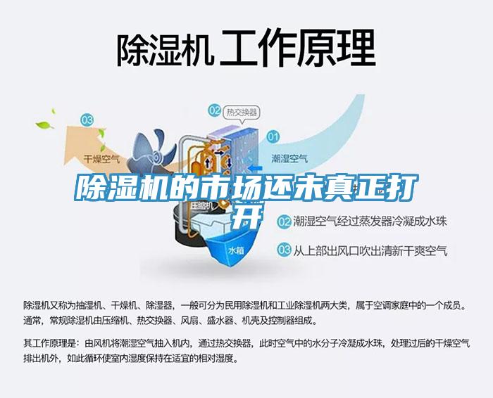 草莓污视频在线看的市場還未真正打開