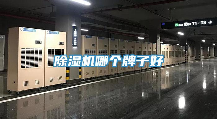 草莓污视频在线看哪個牌子好
