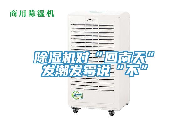 草莓污视频在线看對“回南天”發潮發黴說“不”