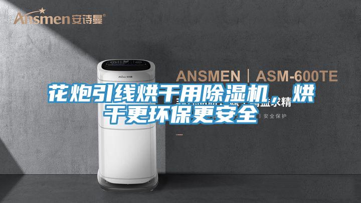 花炮引線烘幹用草莓污视频在线看，烘幹更環保更安全