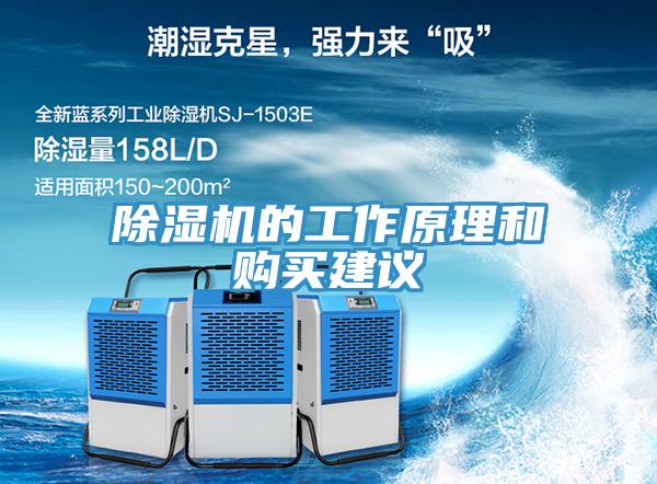 草莓污视频在线看的工作原理和購買建議