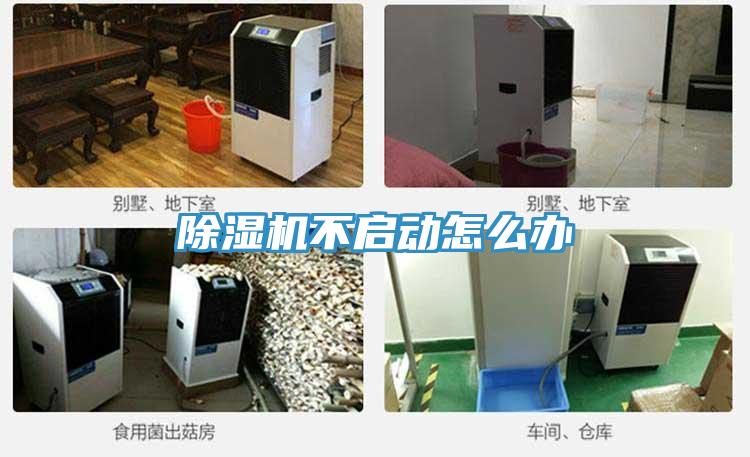 草莓污视频在线看不啟動怎麽辦