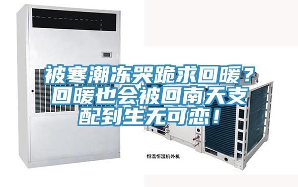 被寒潮凍哭跪求回暖？回暖也會被回南天支配到生無可戀！