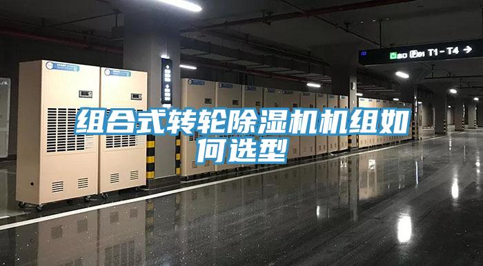 組合式轉輪草莓污视频在线看機組如何選型