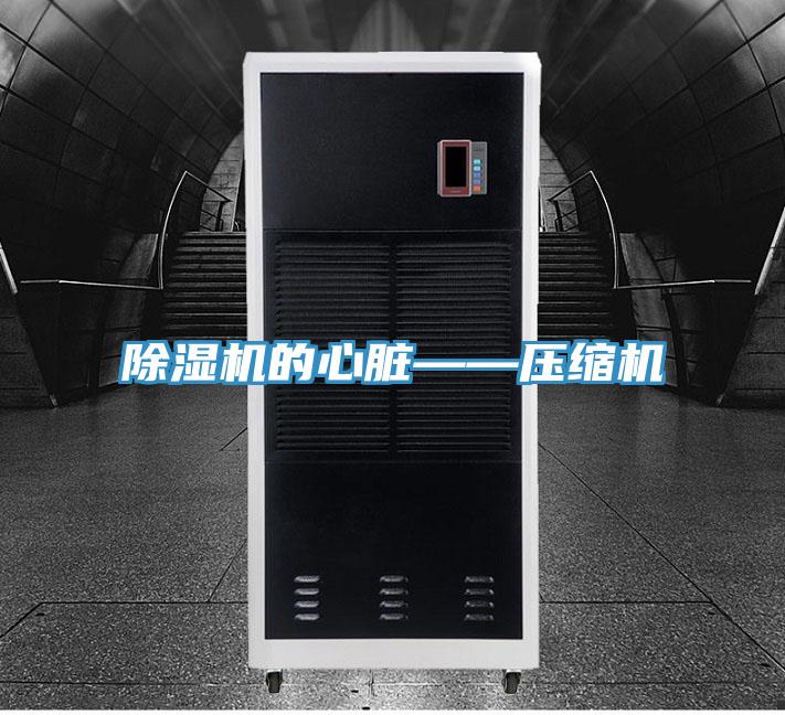 草莓污视频在线看的心髒——壓縮機