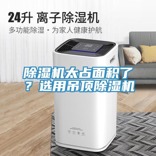 草莓污视频在线看太占麵積了？選用吊頂草莓污视频在线看