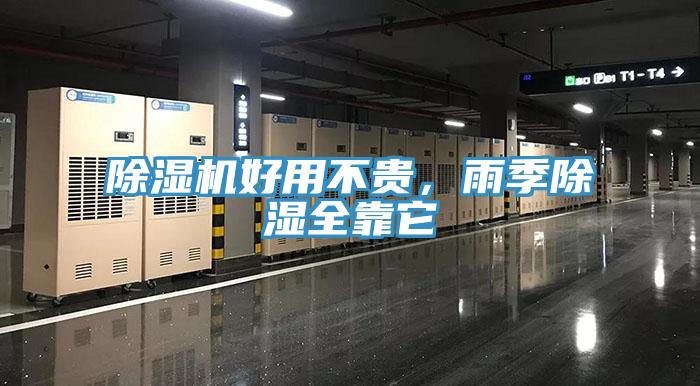 草莓污视频在线看好用不貴，雨季除濕全靠它