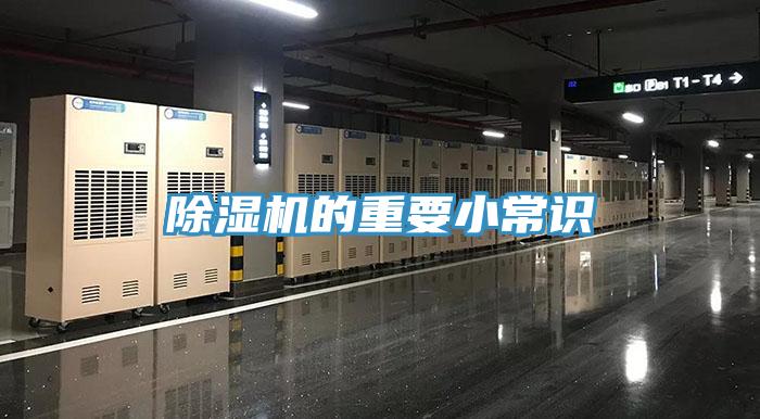 草莓污视频在线看的重要小常識