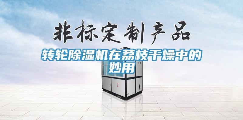 轉輪草莓污视频在线看在荔枝幹燥中的妙用