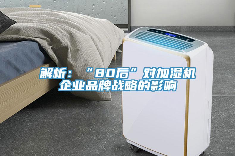 解析：“80後”對加濕機企業品牌戰略的影響