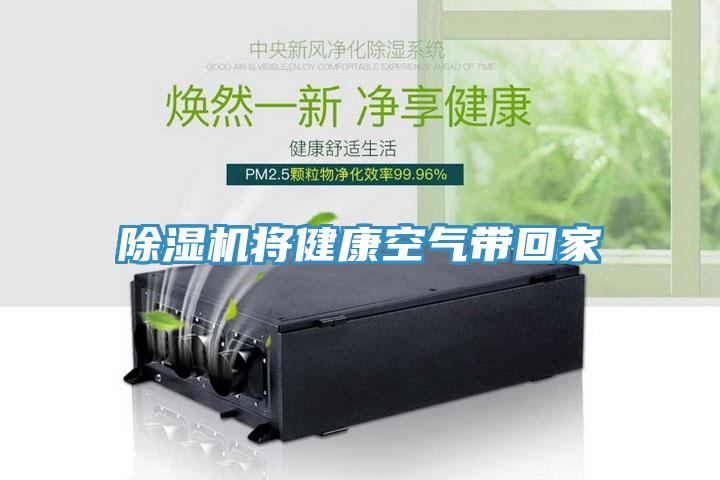 草莓污视频在线看將健康空氣帶回家