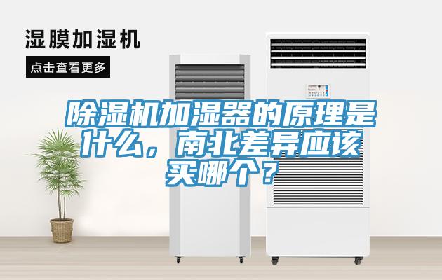 草莓污视频在线看加濕器的原理是什麽，南北差異應該買哪個？