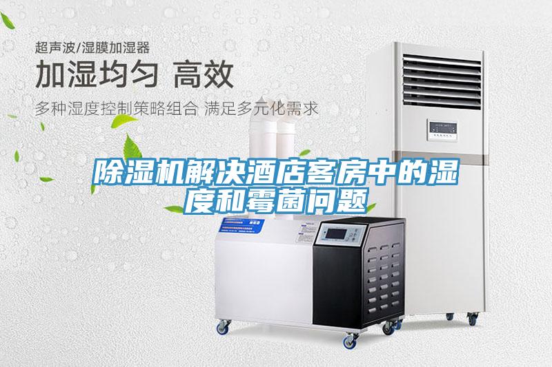 草莓污视频在线看解決酒店客房中的濕度和黴菌問題