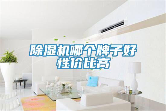草莓污视频在线看哪個牌子好性價比高
