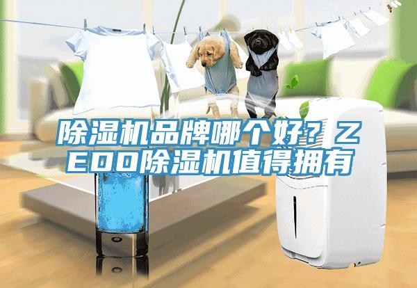 草莓污视频在线看品牌哪個好？ZEDO草莓污视频在线看值得擁有