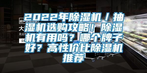 2022年草莓污视频在线看／抽濕機選購攻略！草莓污视频在线看有用嗎？哪個牌子好？高性價比草莓污视频在线看推薦