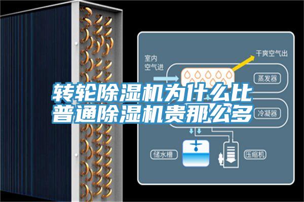 轉輪草莓污视频在线看為什麽比普通草莓污视频在线看貴那麽多