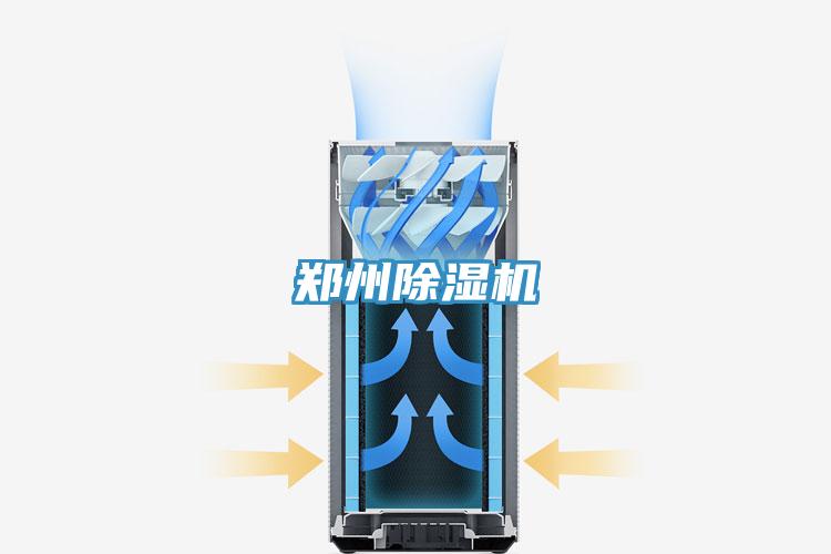 鄭州草莓污视频在线看