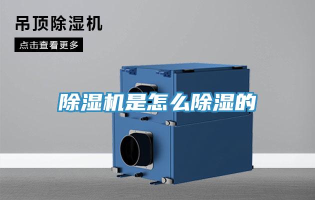 草莓污视频在线看是怎麽除濕的