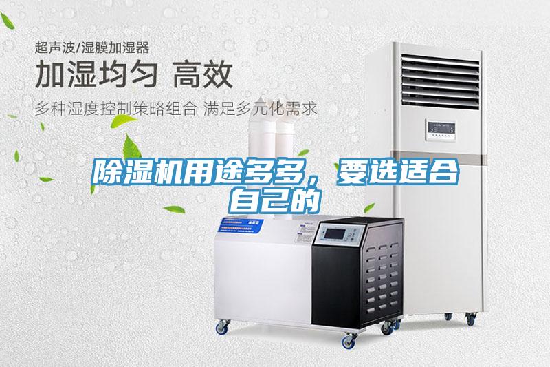 草莓污视频在线看用途多多，要選適合自己的
