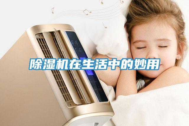 草莓污视频在线看在生活中的妙用