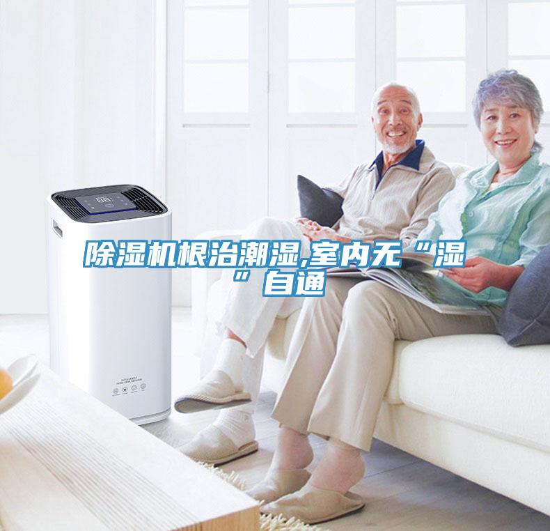 草莓污视频在线看根治潮濕,室內無“濕”自通
