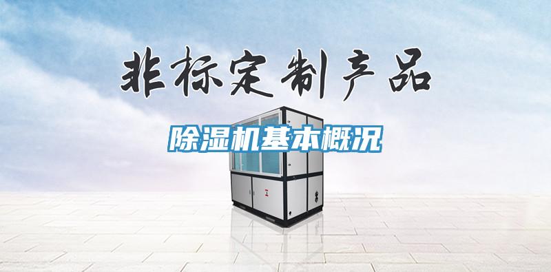 草莓污视频在线看基本概況