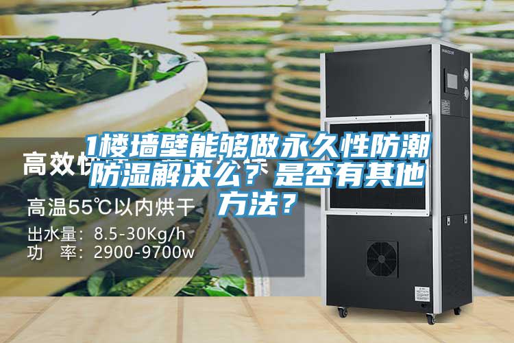 1樓牆壁能夠做永久性防潮防濕解決麽？是否有其他方法？