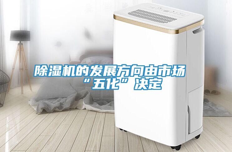草莓污视频在线看的發展方向由市場“五化”決定