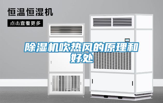 草莓污视频在线看吹熱風的原理和好處