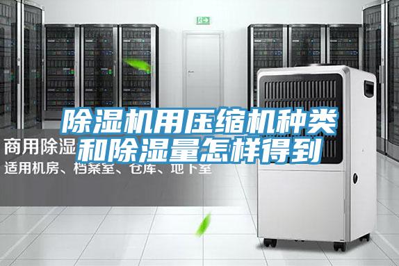 草莓污视频在线看用壓縮機種類和除濕量怎樣得到