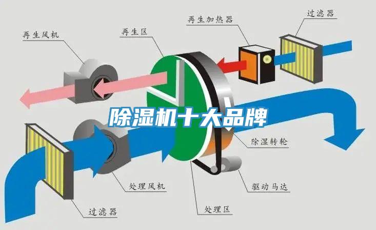 草莓污视频在线看十大品牌