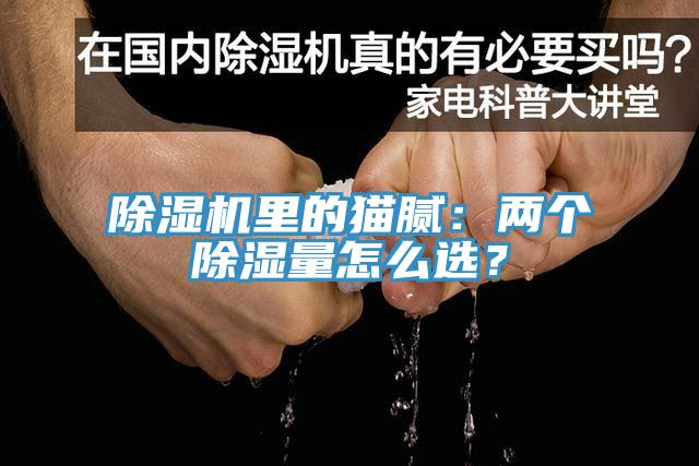草莓污视频在线看裏的貓膩：兩個除濕量怎麽選？