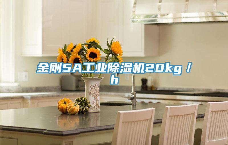 金剛5A工業草莓污视频在线看20kg／h