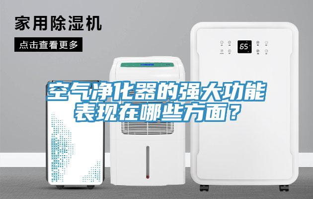 空氣淨化器的強大功能表現在哪些方麵？