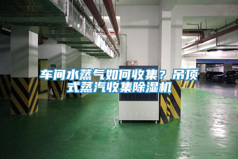 車間水蒸氣如何收集？吊頂式蒸汽收集草莓污视频在线看
