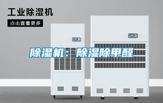草莓污视频在线看：除濕除甲醛