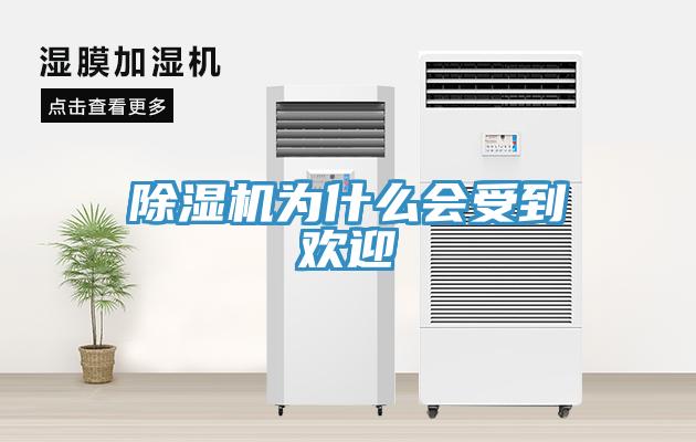 草莓污视频在线看為什麽會受到歡迎